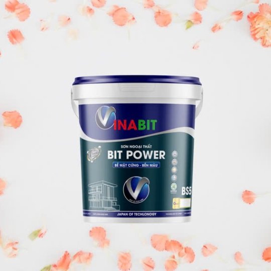 SƠN NGOẠI THẤT BIT POWER 