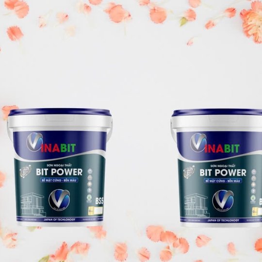 SƠN NGOẠI THẤT BIT POWER 